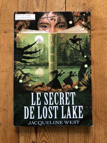 Livre fantastique le secret de Lost Lake   dès 9 ans