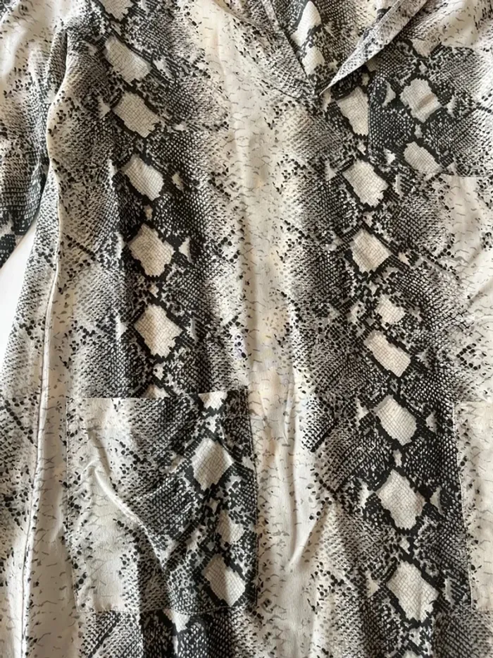 Robe toupy - photo numéro 2
