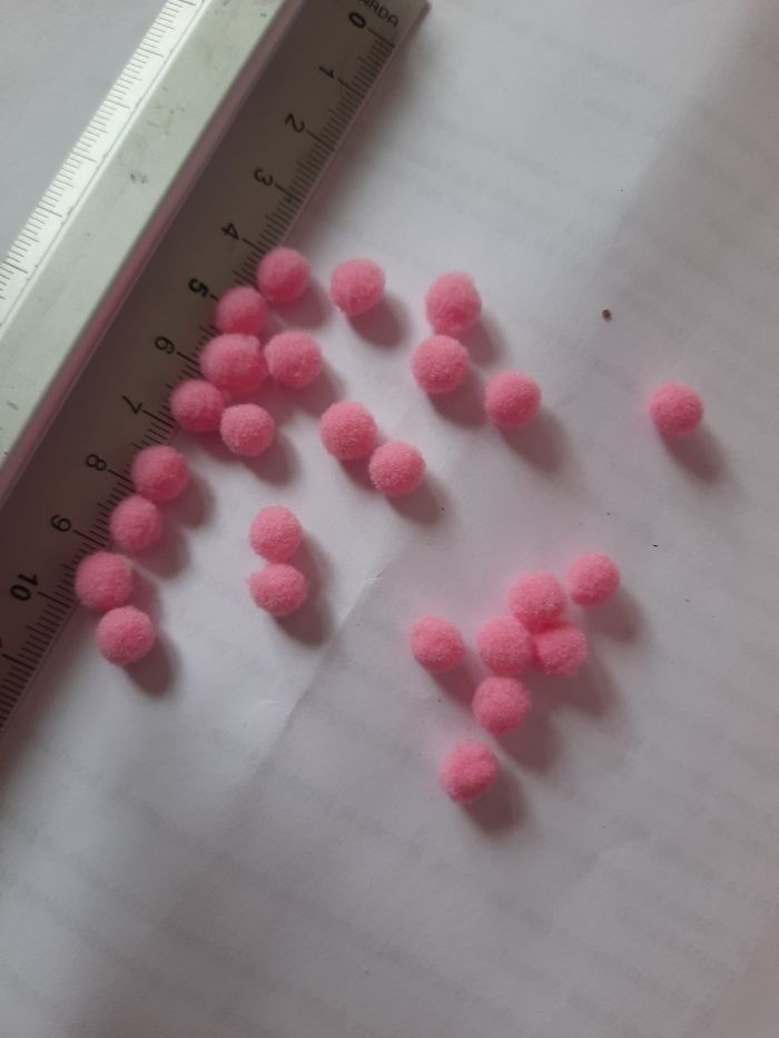 25 mini ponpo rose claire