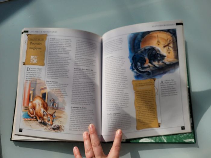 Encyclopédie du Fantastique et de l'Étrange, Tome 1 : Fées et Dragons 🐉 - photo numéro 11