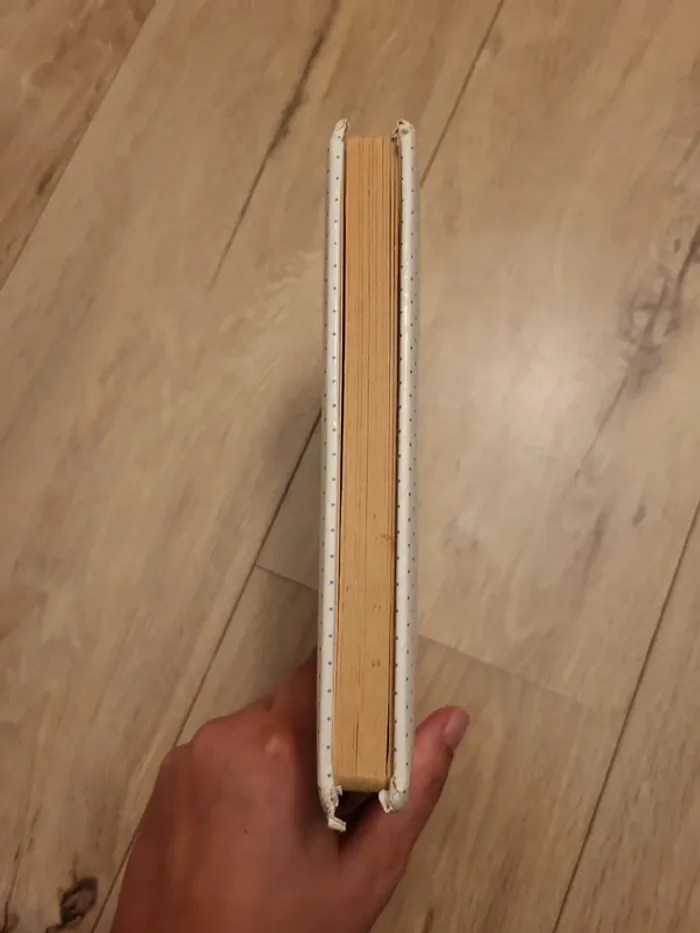 Livre imagier - photo numéro 4