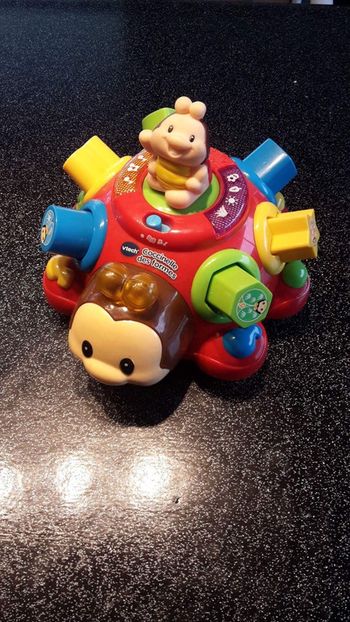 Coccinelle de formes