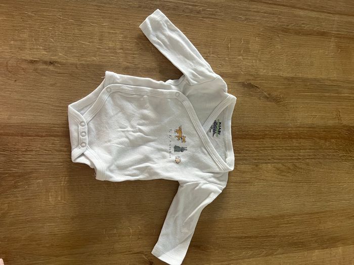 Lot de 3 body inspiration renard