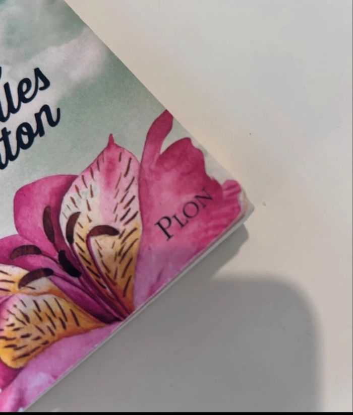 Livre Cupidon a des ailes en carton - photo numéro 3