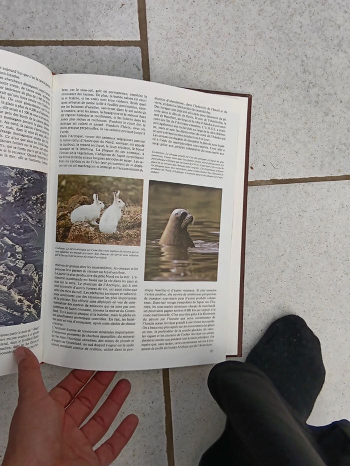 Atlas illustré des pays et des peuples - photo numéro 11