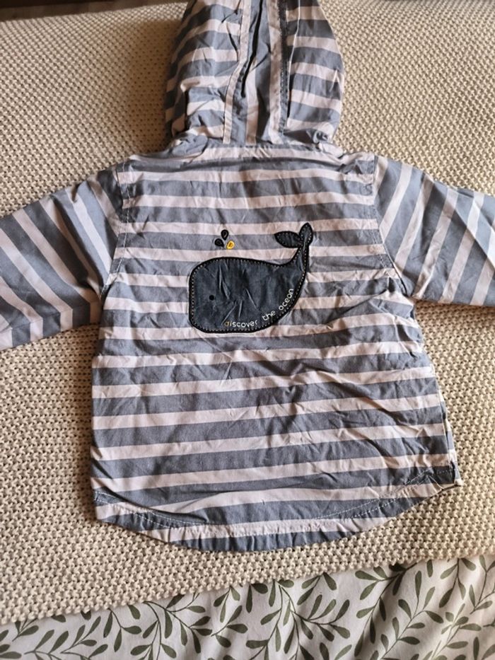 Veste - photo numéro 3