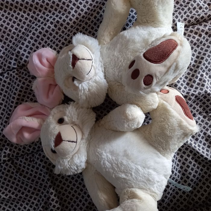 Lot "Jumeaux" - photo numéro 5