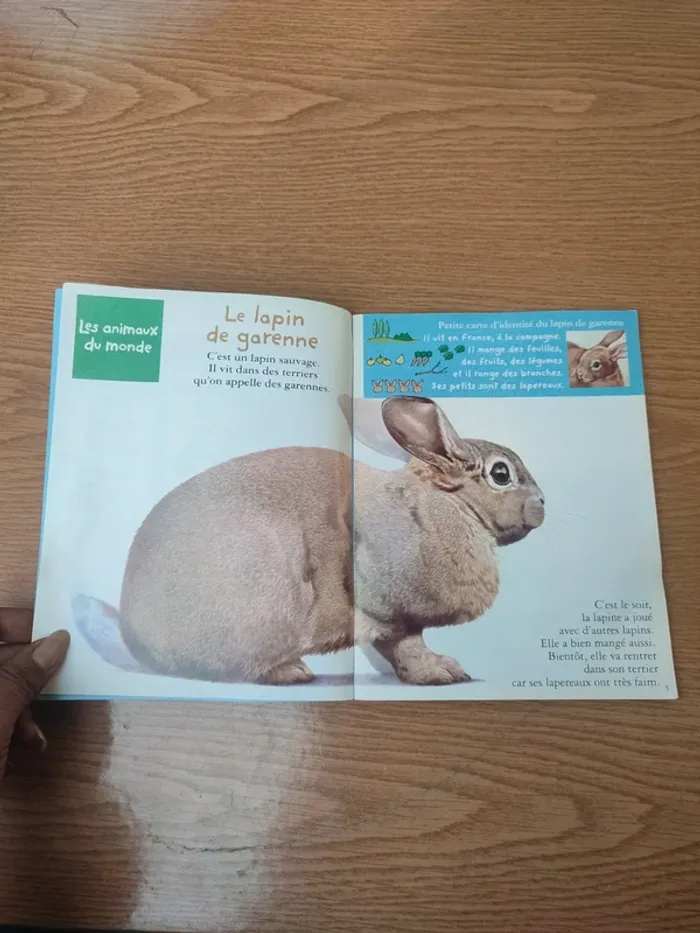 Livre youpi l'attaque du château Fort - photo numéro 8