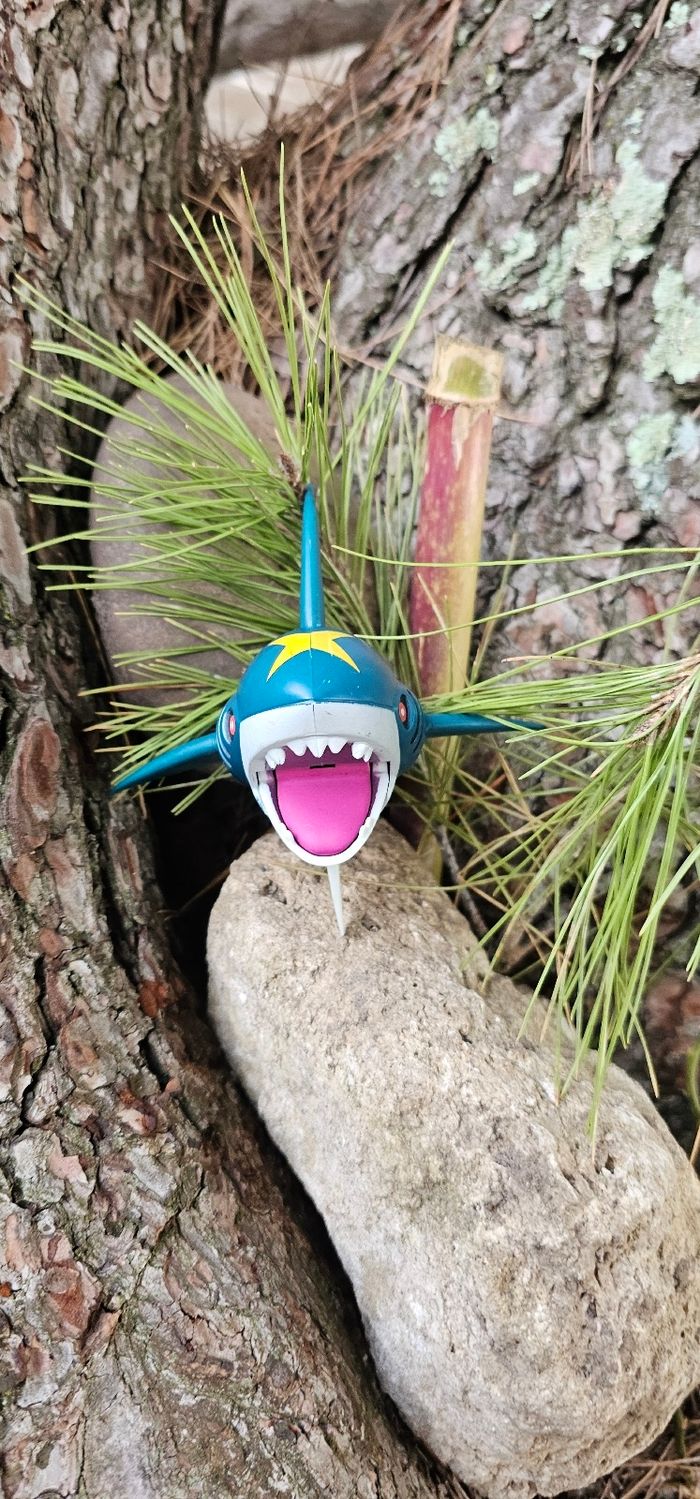 Super figurine Pokemon Nintendo Sharpedo - photo numéro 6