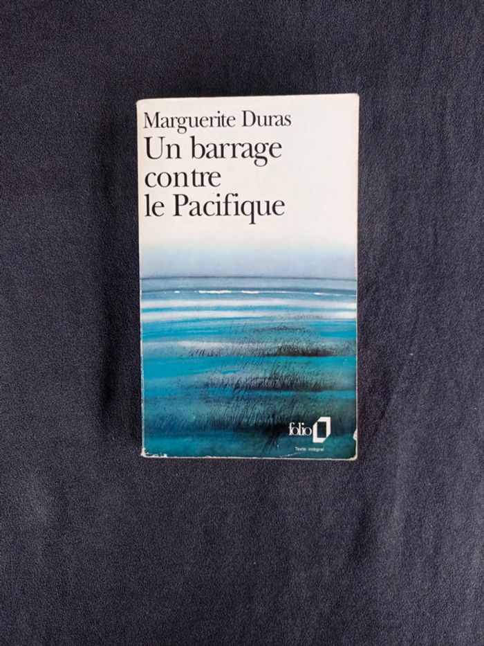 Un barrage contre le Pacifique