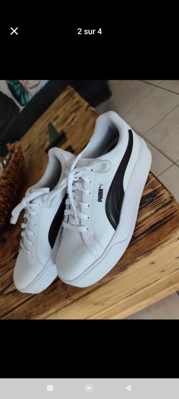 Puma - photo numéro 2