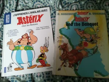 Lot de 2 bd Astérix en anglais