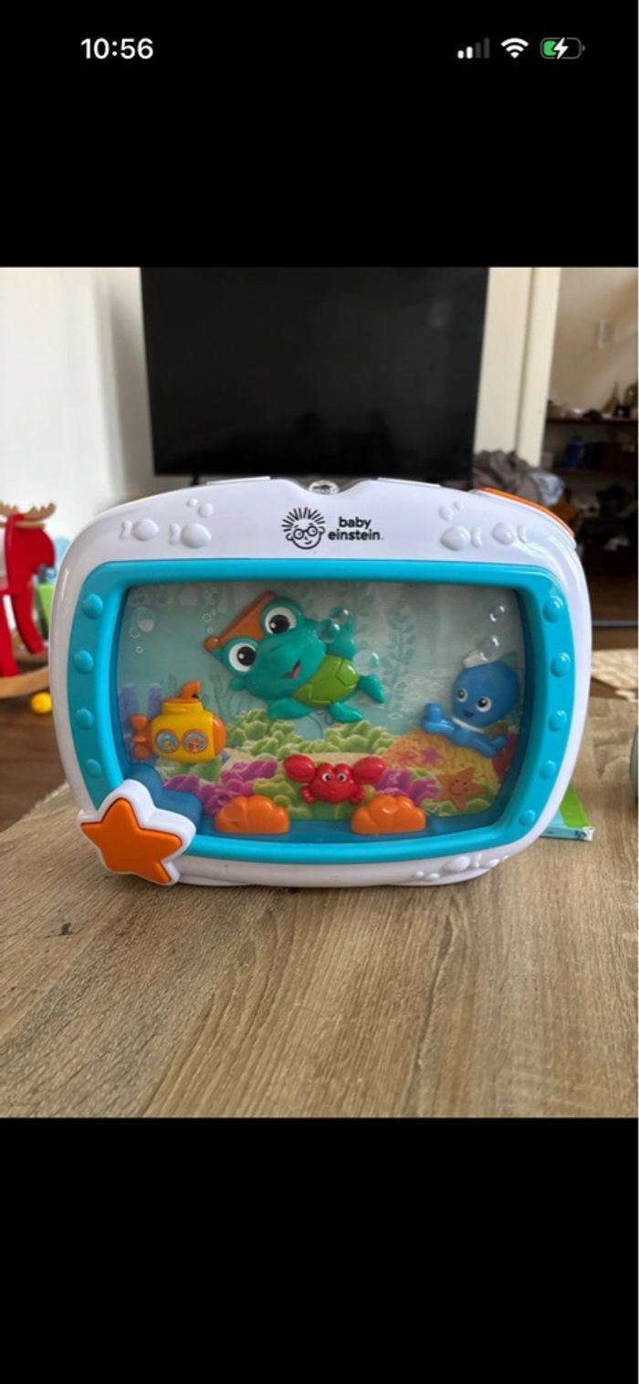 Baby Einstein - photo numéro 2