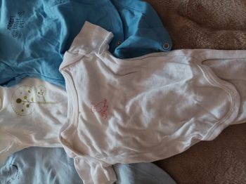 Bodys manches courtes