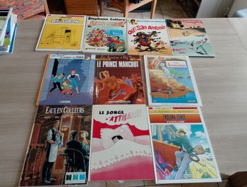  Lot de 10 BD divers (5)