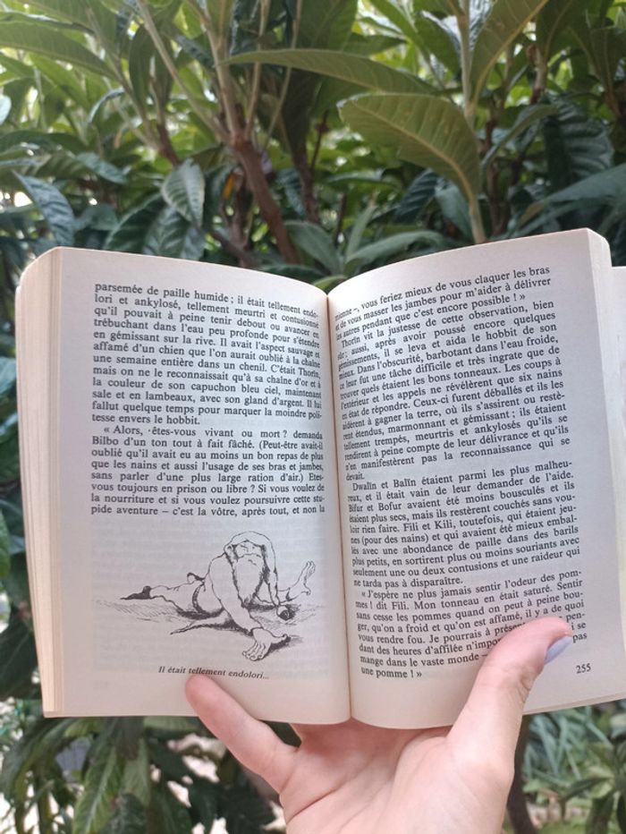 Livre Bilbo le Hobbit de J.R.R.Tolkien. - photo numéro 5