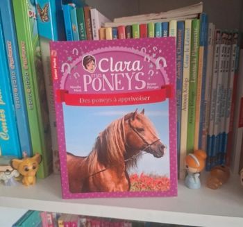 Clara et les poneys - des poneys à apprivoiser