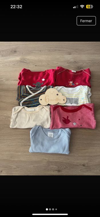 Lot 7 bodies