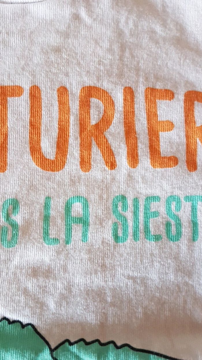 Lot de tee shirts garçon 24 mois - photo numéro 3