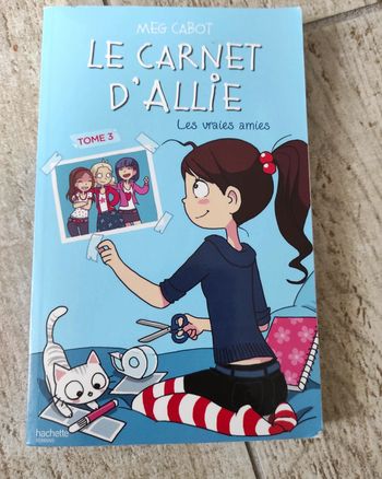 Le carnet d'Allie tome 3