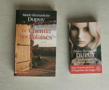 2 romans de Marie-Bernadette Dupuy