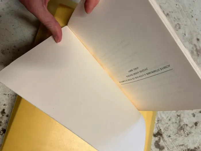 Je suis Pierre Brossolette - photo numéro 6