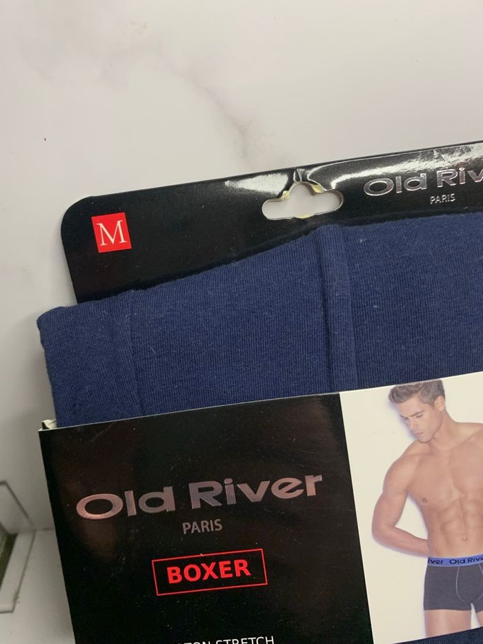 Boxer - photo numéro 3