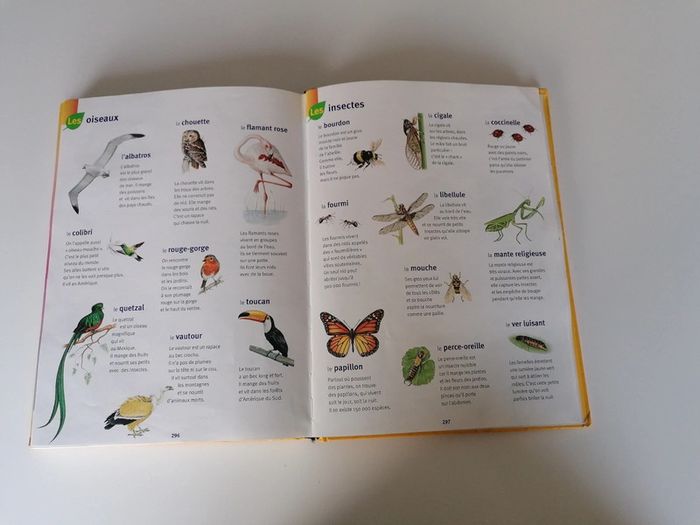 Dictionnaire Larousse maternelle 📕 - photo numéro 6