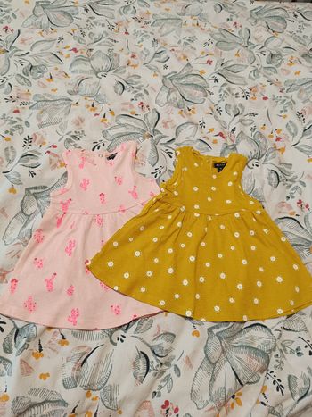 Lot de 2 robes bébé fille