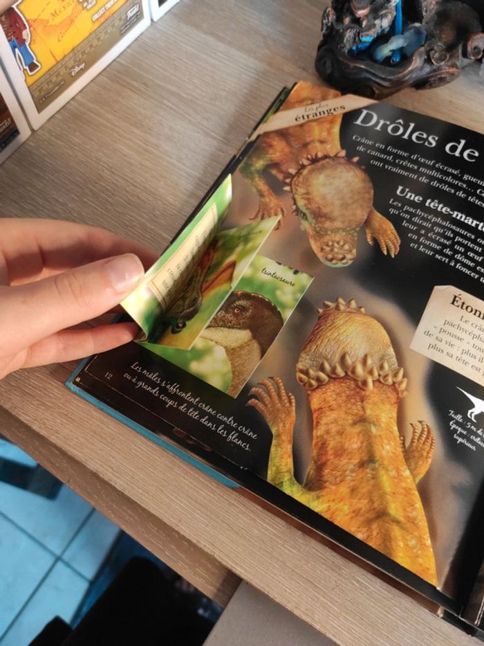 Incroyables dinosaures – L'incroyable encyclopédie – Larousse - photo numéro 18