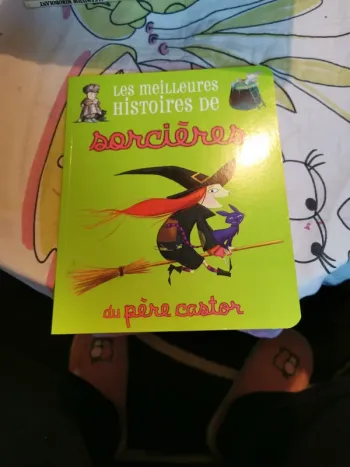 Livre les meilleures histoires de sorcières du père castor