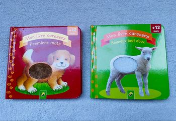 Lot de 2 livres bébé 12 mois animaux