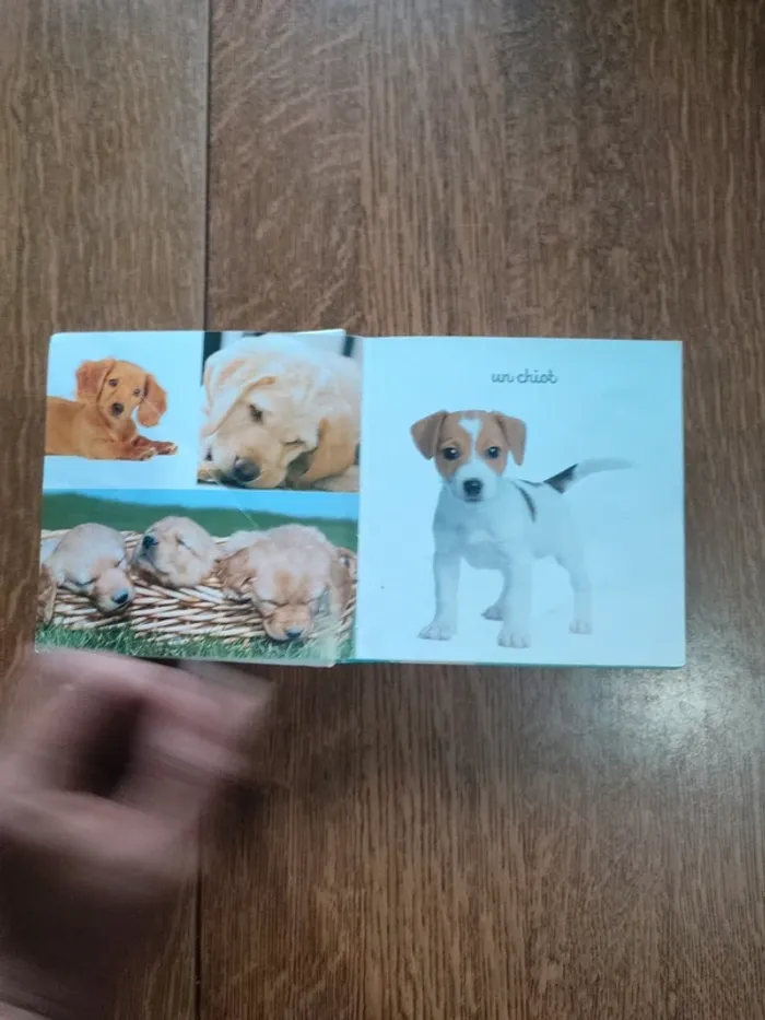 Livre mon Mini imagier des animaux - photo numéro 11