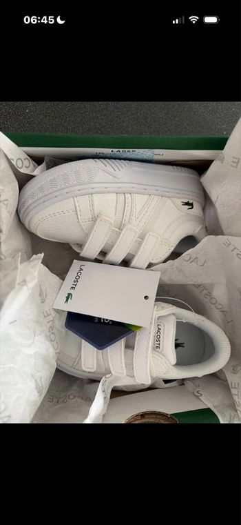 Basket Lacoste taille 19 Authentique