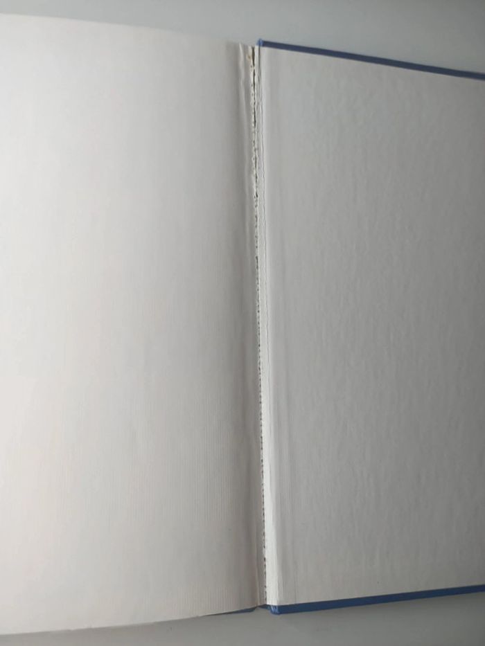 BD les maîtres de l'univers n°2 le cousin terrible - photo numéro 5