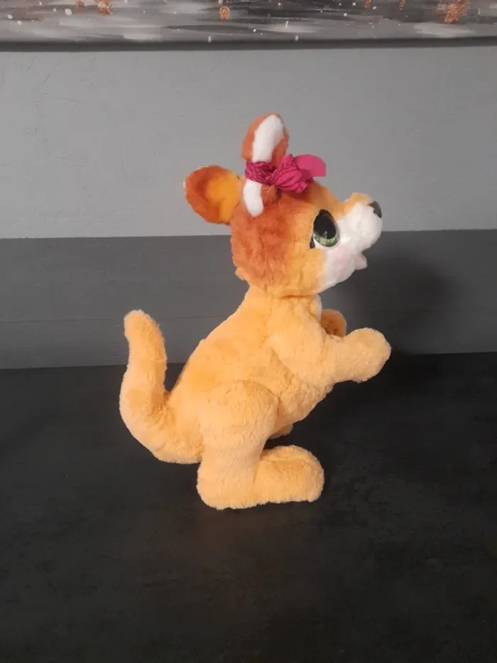 Kangourou interactif - photo numéro 3