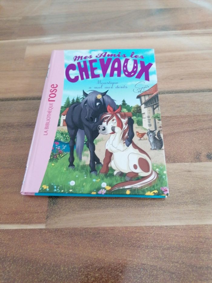 Livre mes amis les chevaux Moustique a mal aux dents