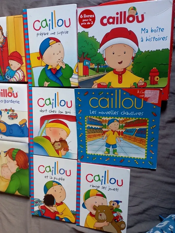 Lot de 17 livres caillou - photo numéro 3