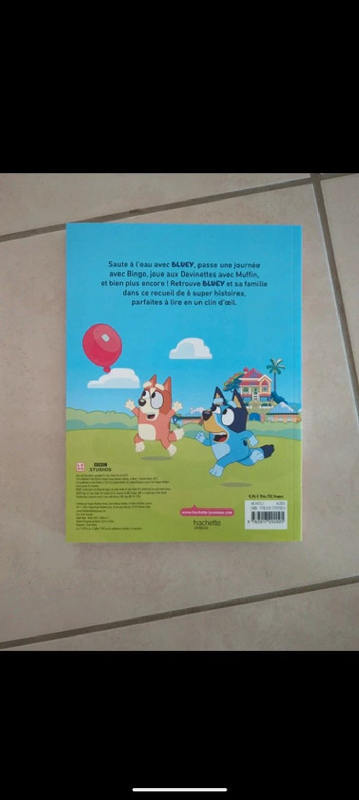 Livre Bluey - photo numéro 2