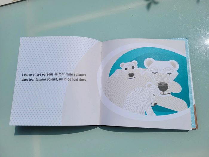 Livre animé 🦭 La Famille Pôles 🐧 - photo numéro 6