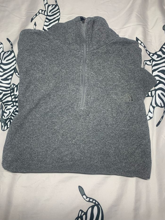 Polaire the north face