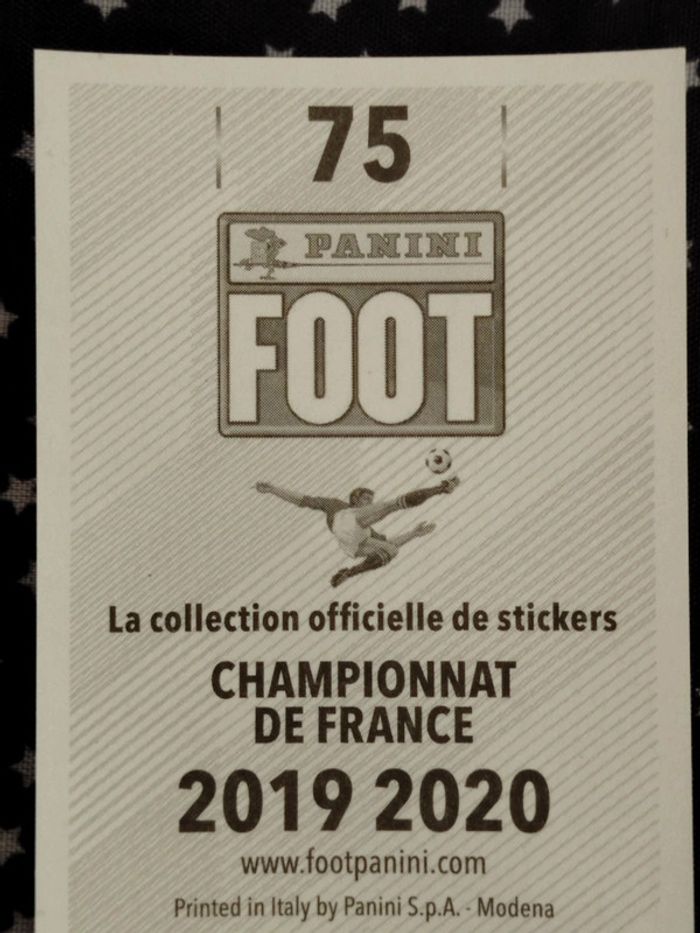 Images Panini foot 2019 2020 BASIC 75 GELIN 415 (neuves) - photo numéro 3