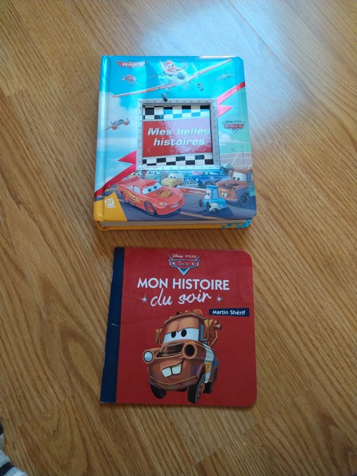 Lot de 2 livres cars