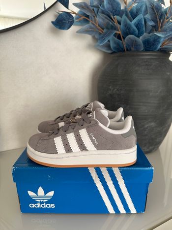 Adidas campus