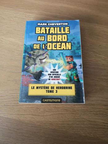Livre minecraft