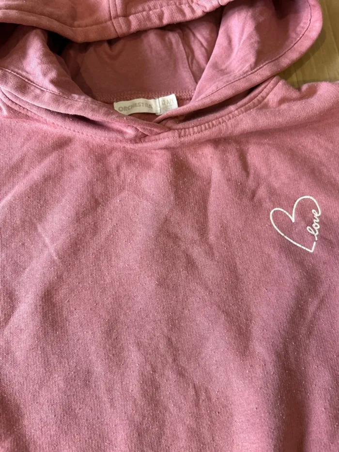 Sweat à capuche orchestra taille 12 ans - photo numéro 4