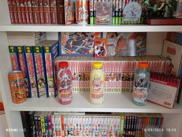Lot de 240 mangas - photo numéro 5