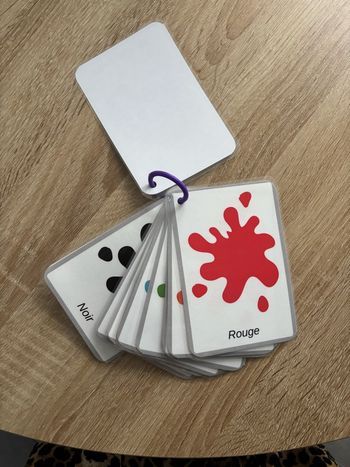 Lot de 10 cartes éducatives les couleurs