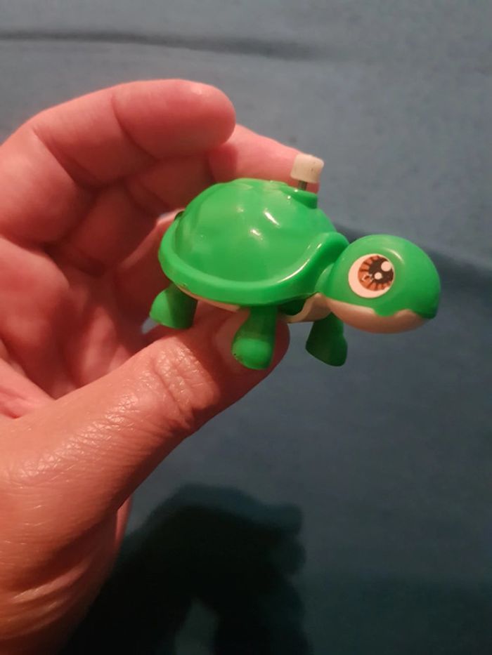 Tortue Tomy