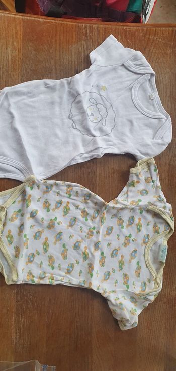 Lot de 2 bodys manches courtes